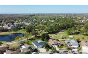11230 BLOOMINGTON DRIVE, TAMPA, FL 33635 - MLS#MFRTB8481583