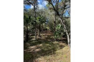 1040 CRACKER HAMMOCK, SEBRING, FL 33875 - MLS#MFRTB8481598