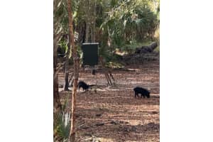 1040 CRACKER HAMMOCK, SEBRING, FL 33875 - MLS#MFRTB8481598