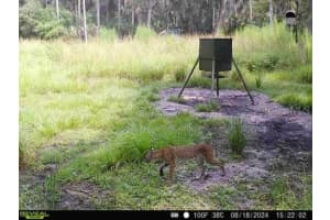 1040 CRACKER HAMMOCK, SEBRING, FL 33875 - MLS#MFRTB8481598