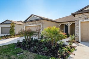 18234 PLEASANTVIEW, LAND O LAKES, FL 34638 - MLS#MFRTB8481599