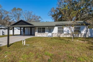 1413 MAY STREET, LUTZ, FL 33548 - MLS#MFRTB8481628