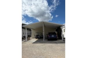 1735 Dorothy Blvd, LUTZ