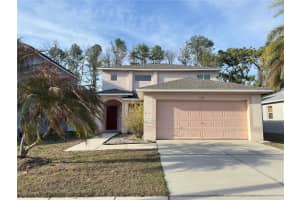 13526 Prestwick Dr, RIVERVIEW
