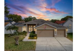 11310 GLENMONT DRIVE, TAMPA, FL 33635 - MLS#MFRTB8481693