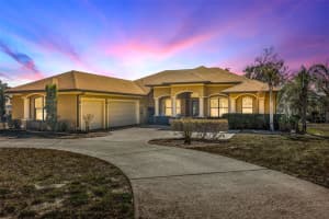 13101 Shadow Run Blvd, RIVERVIEW