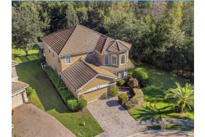 18022 MAUI ISLE DRIVE, TAMPA, FL 33647 - MLS#MFRTB8481740