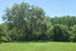 0 VIA SEGOVIA, NEW PORT RICHEY, FL 34655 - MLS#MFRTB8481743