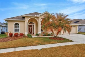 18810 FOREST GLEN COURT, TAMPA, FL 33647 - MLS#MFRTB8481756