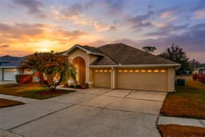 18810 FOREST GLEN COURT, TAMPA, FL 33647 - MLS#MFRTB8481756