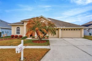 18810 FOREST GLEN COURT, TAMPA, FL 33647 - MLS#MFRTB8481756