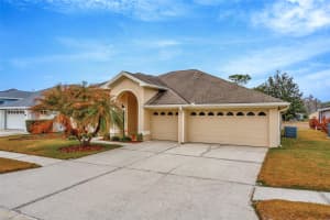 18810 FOREST GLEN COURT, TAMPA, FL 33647 - MLS#MFRTB8481756