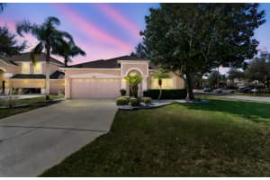 1346 BROOKE VIEW DRIVE, ODESSA, FL 33556 - MLS#MFRTB8481765