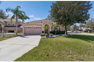 1346 BROOKE VIEW DRIVE, ODESSA, FL 33556 - MLS#MFRTB8481765