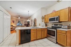 1346 BROOKE VIEW DRIVE, ODESSA, FL 33556 - MLS#MFRTB8481765