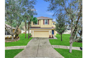 17423 NEW CROSS CIRCLE, LITHIA, FL 33547 - MLS#MFRTB8481768