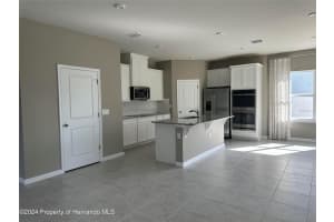 19052 PEBBLE WOOD LANE, SPRING HILL, FL 34610 - MLS#MFRTB8481784