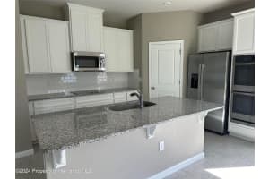 19052 PEBBLE WOOD LANE, SPRING HILL, FL 34610 - MLS#MFRTB8481784