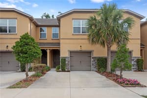14110 Damselfly Dr, TAMPA