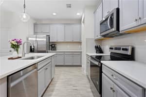 14110 DAMSELFLY DRIVE, TAMPA, FL 33625 - MLS#MFRTB8481790