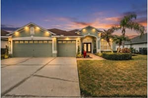 3147 Bowfin Dr, LAND O LAKES 3147 Bowfin Dr, LAND O LAKES