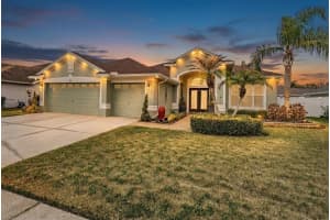 3147 BOWFIN DRIVE, LAND O LAKES, FL 34639 - MLS#MFRTB8481798