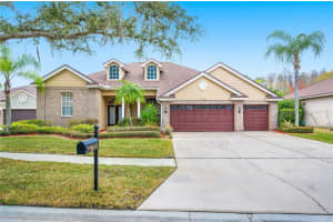 17710 CURRIE FORD DRIVE, LUTZ, FL 33558 - MLS#MFRTB8481842