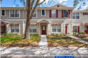 15844 FISHHAWK FALLS DRIVE, LITHIA, FL 33547 - MLS#MFRTB8481874