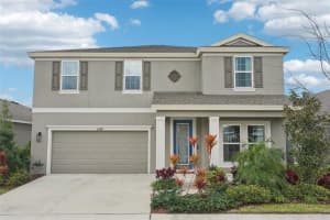 6169 Golden Nettle Dr, APOLLO BEACH
