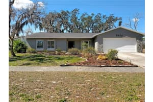 9416 BELLHAVEN STREET, TEMPLE TERRACE, FL 33637 - MLS#MFRTB8481954