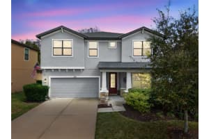 8410 Auburn Rise Ct, LAND O LAKES