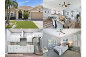 8740 Maple Pond Ct, TRINITY