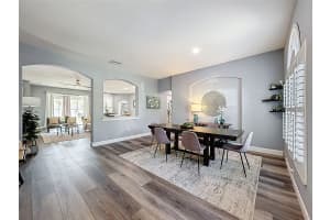 8740 MAPLE POND COURT, TRINITY, FL 34655 - MLS#MFRTB8481968