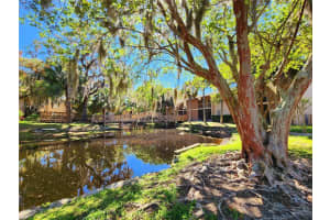 7604 ABBEY LANE, TAMPA, FL 33617 - MLS#MFRTB8481971