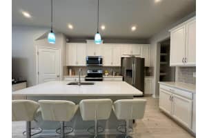 26046 WOVEN WICKER BEND, LUTZ, FL 33559 - MLS#MFRTB8481997