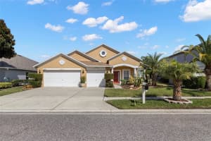 16501 NIKKI LANE, ODESSA, FL 33556 - MLS#MFRTB8482010