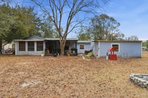 6771 SASSER STREET, HOMOSASSA, FL 34446 - MLS#MFRTB8482017