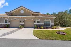 29800 ANAND VIHAR DRIVE, WESLEY CHAPEL, FL 33543 - MLS#MFRTB8482025