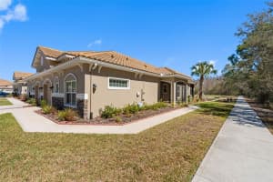 29800 ANAND VIHAR DRIVE, WESLEY CHAPEL, FL 33543 - MLS#MFRTB8482025