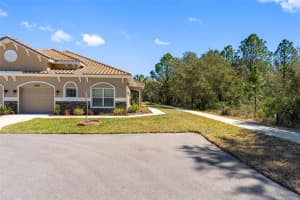 29800 ANAND VIHAR DRIVE, WESLEY CHAPEL, FL 33543 - MLS#MFRTB8482025