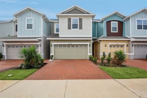 34196 Rogallo Ln, WESLEY CHAPEL