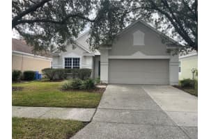 9307 Huntington Park Way, TAMPA