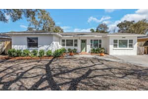 1655 SAN ROY DRIVE, DUNEDIN, FL 34698 - MLS#MFRTB8482081