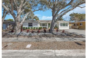 1655 SAN ROY DRIVE, DUNEDIN, FL 34698 - MLS#MFRTB8482081