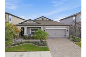 10133 Tuscan Sun Ave, RIVERVIEW