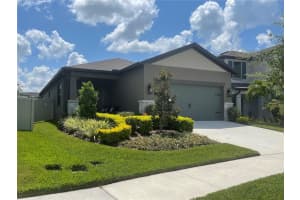 7616 YALE HARBOR DRIVE, WESLEY CHAPEL, FL 33545 - MLS#MFRTB8482092