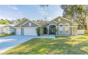 4106 IMPERIAL EAGLE DRIVE, VALRICO, FL 33594 - MLS#MFRTB8482101
