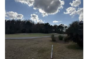 29402 PRINCEVILLE DRIVE, SAN ANTONIO, FL 33576 - MLS#MFRTB8482102