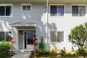 500 NEW YORK AVENUE, DUNEDIN, FL 34698 - MLS#MFRTB8482116