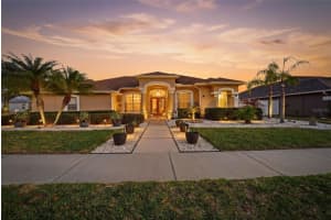 1436 Fox Chapel Dr, LUTZ 1436 Fox Chapel Dr, LUTZ